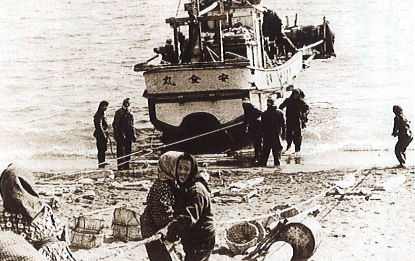 当時の虎杖浜海岸船揚げの様子の写真