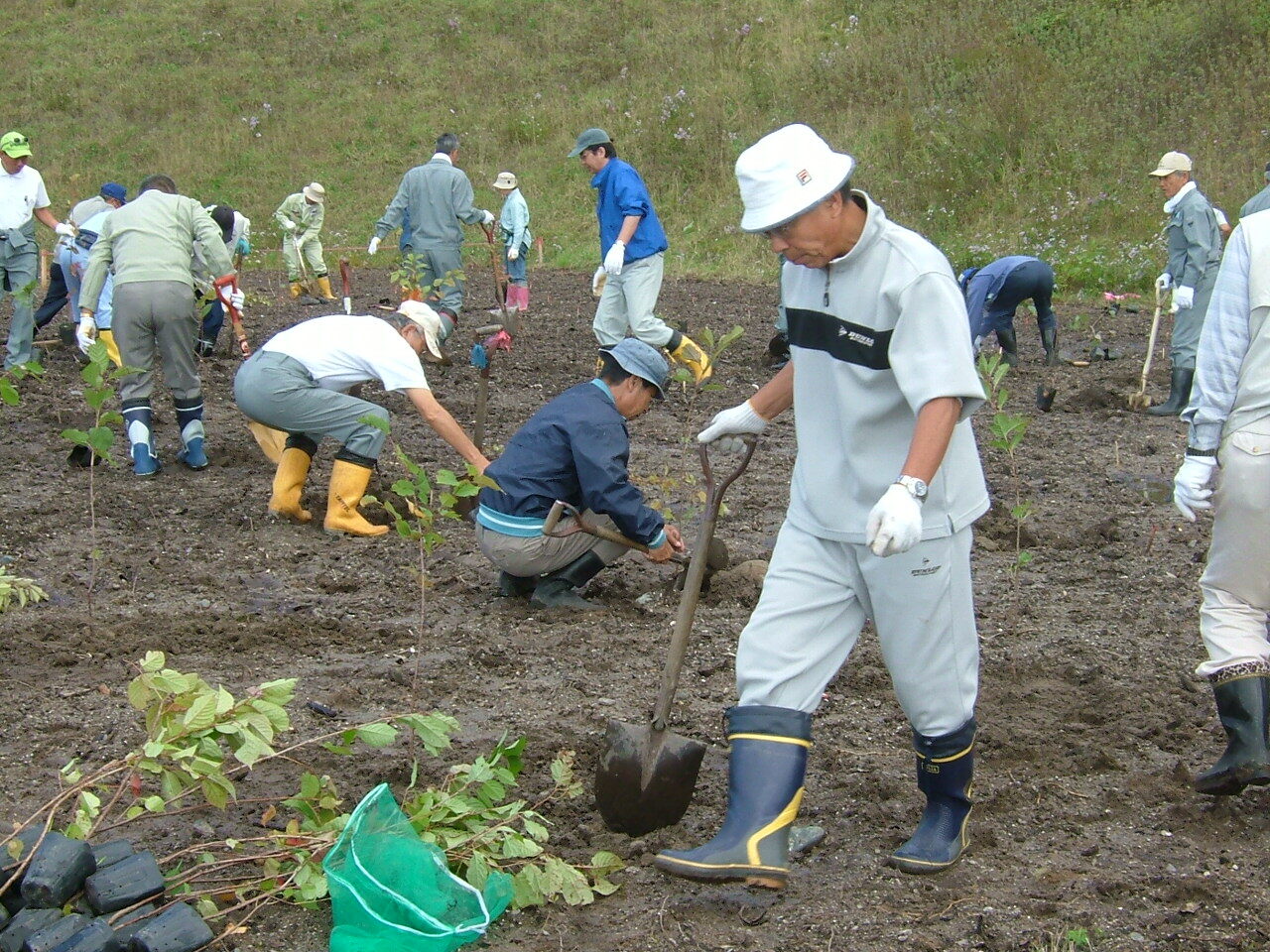 町制施行50周年記念植樹祭の様子の写真