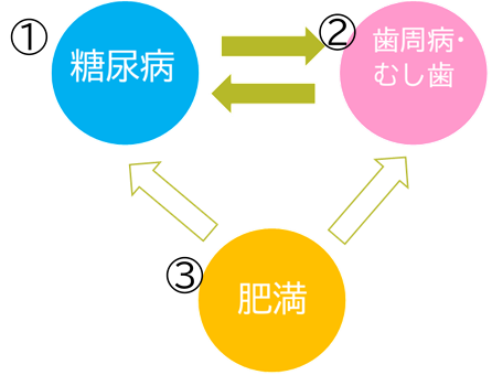 New_糖尿病と歯周病、肥満の関係