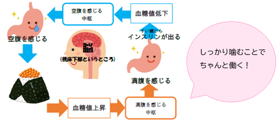 New_ 満腹中枢働く