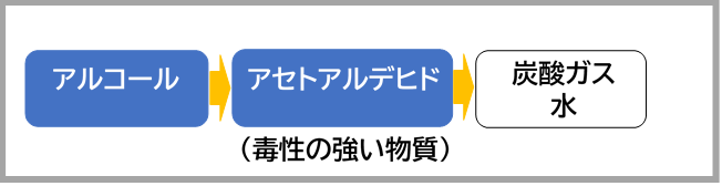 アルコールの分解とアセトアルデヒド