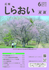 kouho-hyousi.jpg