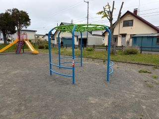トライアルラダー.jpg